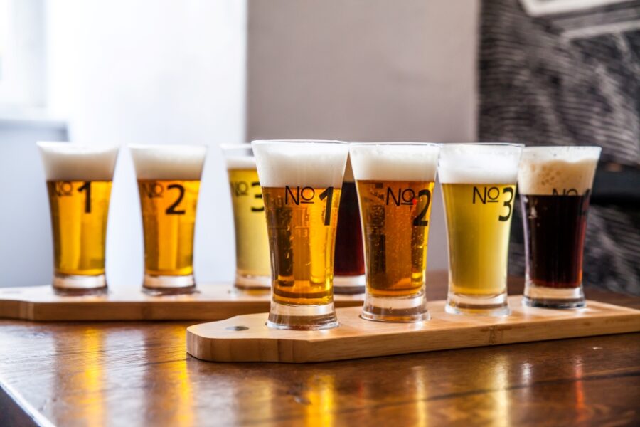 Different craft beer samples