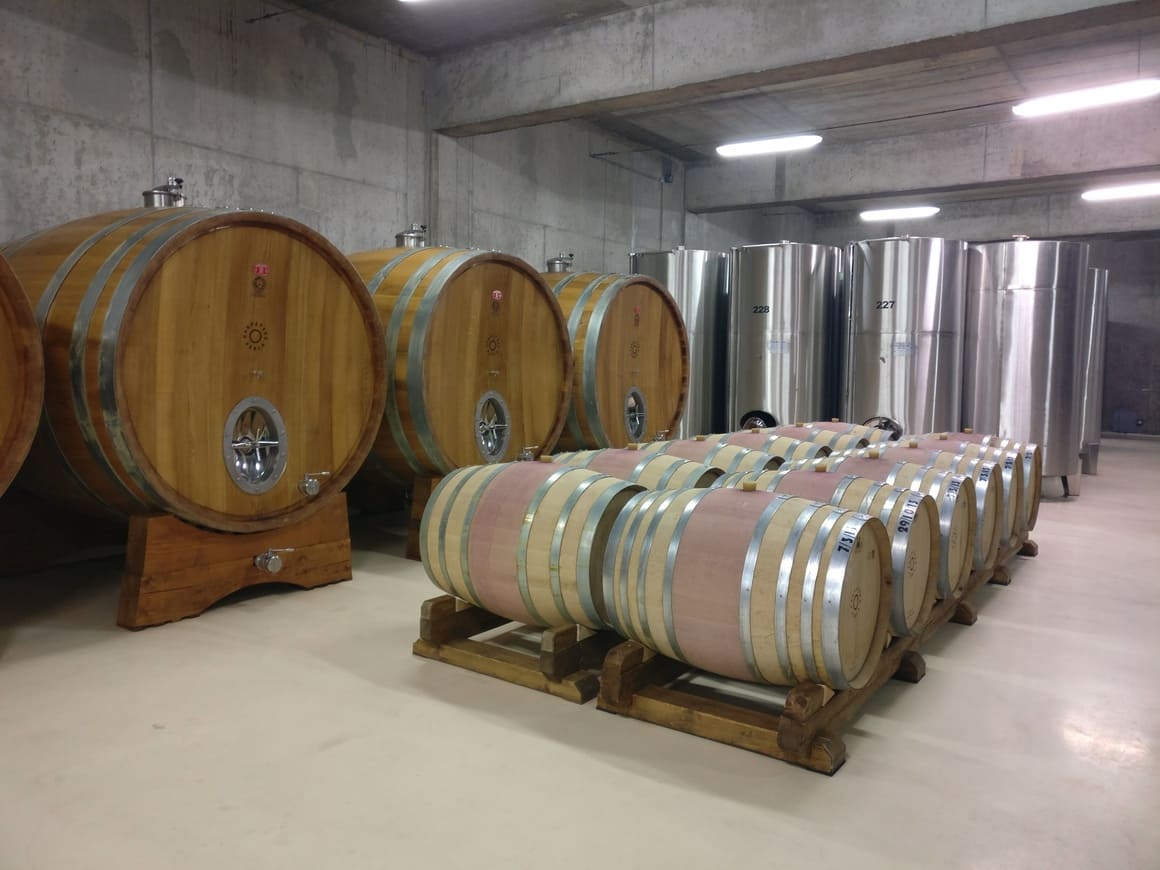 Oak barrels in winery